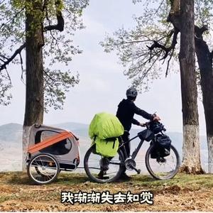 辛信的故事头像