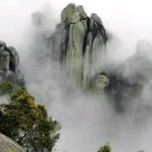 W烟雨蒙蒙W 头像