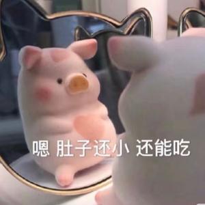 小猪吃饱啦头像