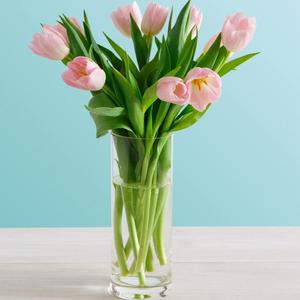 发财夏琳8z1 头像