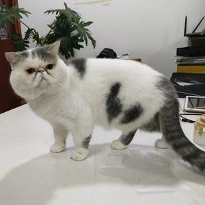 上进兴城7头像