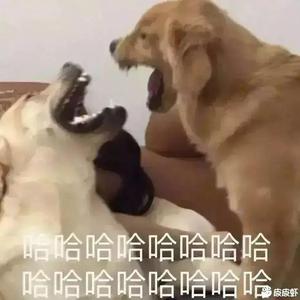 Ki摩吉头像