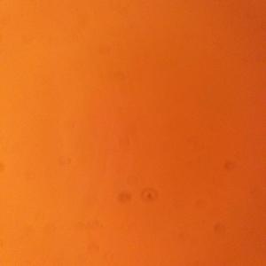 无忧的清泉6ao头像