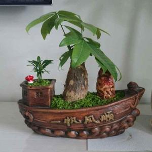 狼王愛大海头像