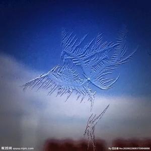笑泪冰晶头像