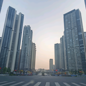 大庄家头像