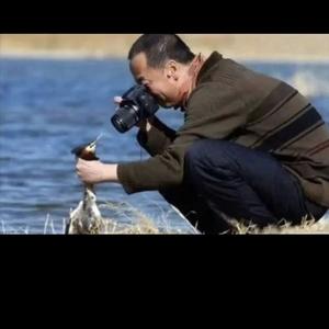 心晴辉头像