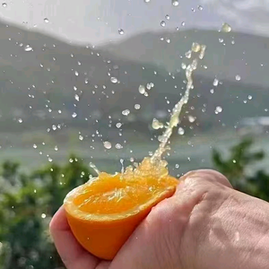 小向在农村头像