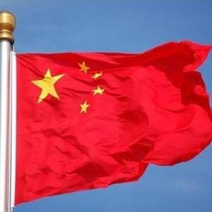身在中国的中国人头像