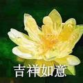 初心不忘7777头像
