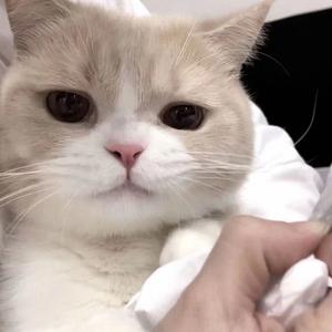 总在意头像