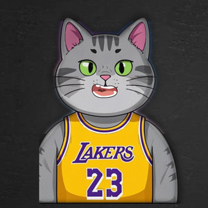 猫篮球头像
