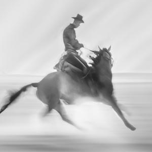 只能意会的疼 头像