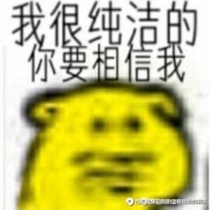 我很纯洁的你要相信我头像