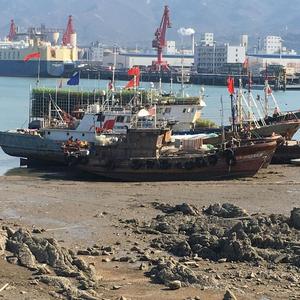 万哥头像