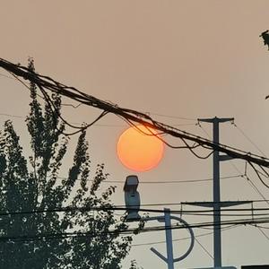 上弦月头像