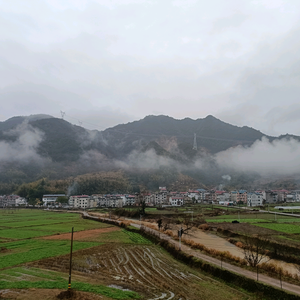 百家姓崔头像