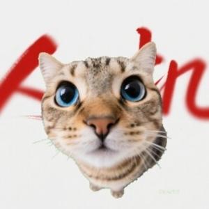 人机小猫头像