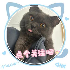 短腿小二宝头像