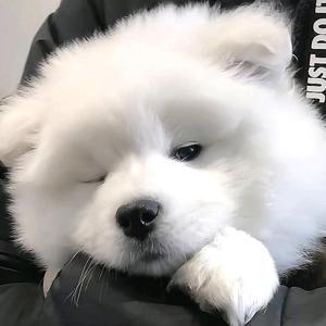 会修图的网友头像