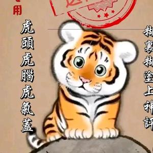 青春旅行家头像