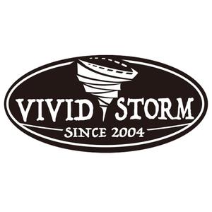 VividstormTech头像