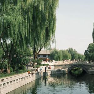 情义无价，知恩感恩头像