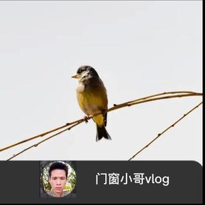 门窗小哥Vlog头像