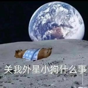 暗黑鲲鲲头像