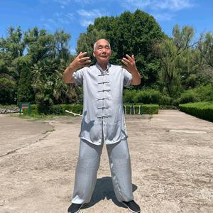 站桩意拳头像