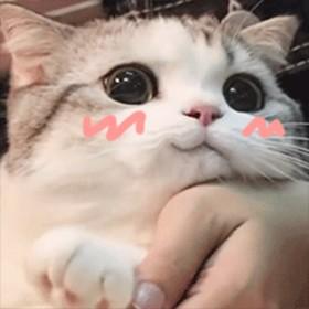 青涟头像