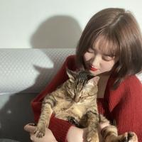 三楼三楼不是二楼头像