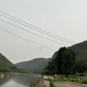 KS玫瑰头像
