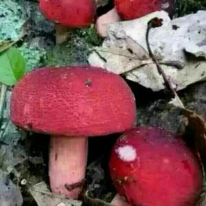 晴耕雨讀头像