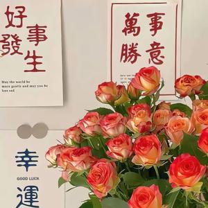 青宸之美头像