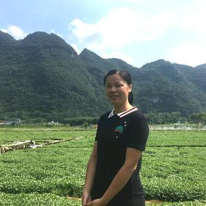 糖糖生活号头像