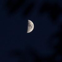 罱风又涌起头像