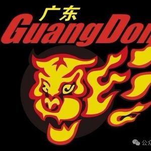 广东华南虎头像