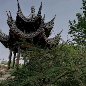 耳钉男孩的梦头像