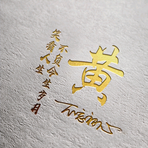 盲流=自由职业头像