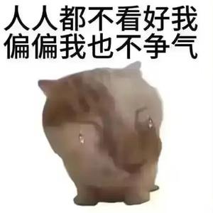 变戏法头像