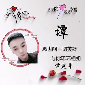 自在花猫R头像