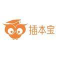 插本宝头像