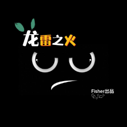 龙雷之火头像