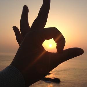 舞动阳光505头像