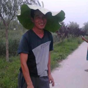 黑土爱体育头像