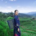 小彩柒头像