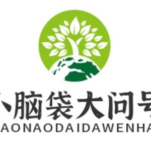 实时头像