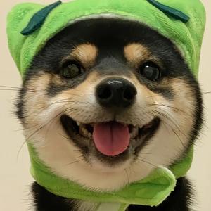 FGYU头像