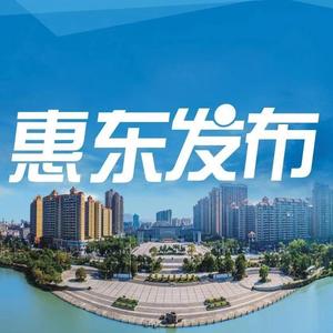 惠东发布 头像